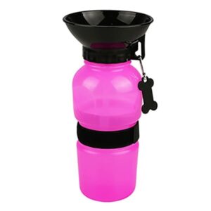 Travel Water Bottle