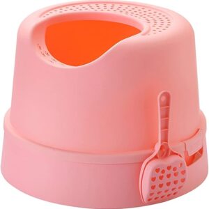 Cat Litter Box With Ladder