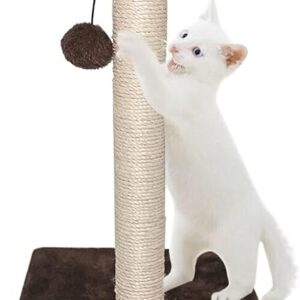 cat scratcher Medium