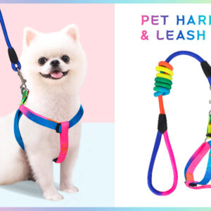 Dog's Harness & Leash (Rainbow, Small)