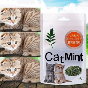 Cat Mint 5g