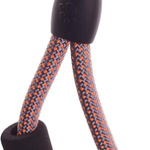 Leash with Foam Handle (M)