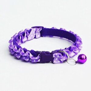 Nylon Collar