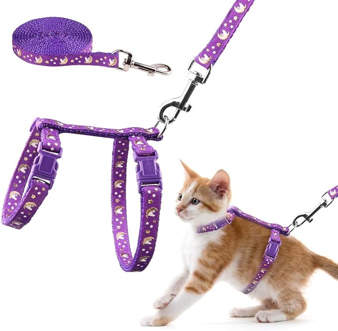 harness spider cat - Image 5