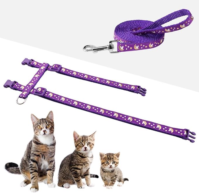 harness spider cat - Image 3