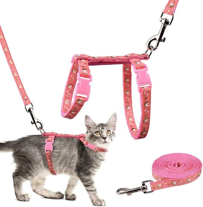 harness spider cat - Image 4