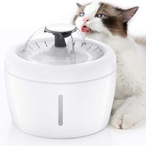 Water Fountain