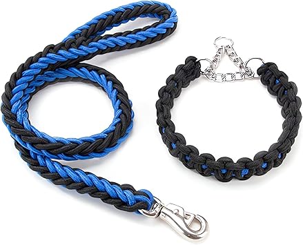 Twisted Dog Leash and Collar Set - Image 9