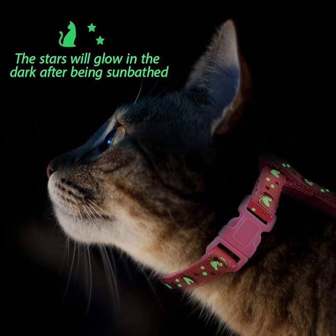harness spider cat - Image 6