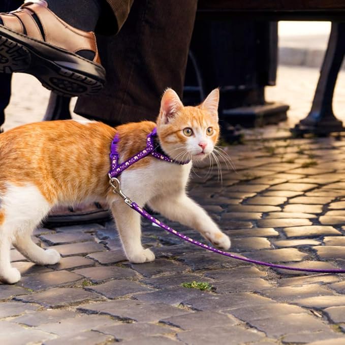 harness spider cat - Image 7