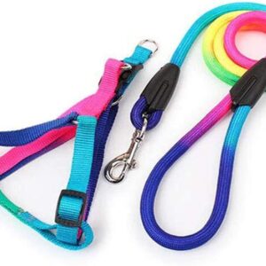 Dog's Harness & Leash (Rainbow, Large)