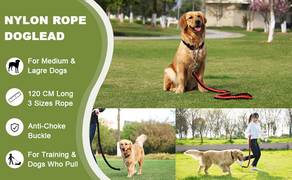 Twisted Dog Leash and Collar Set - Image 5