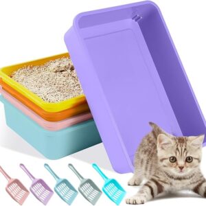 Small Litter Box for Kittens