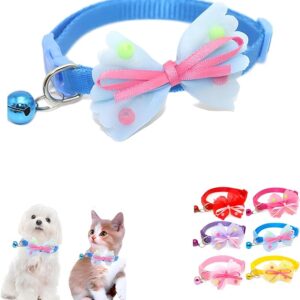Collar With Bibione