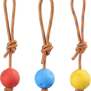 Rope Dog Toy