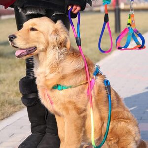Dog's Harness & Leash (Rainbow, Medium)
