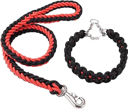 Twisted Dog Leash and Collar Set - Image 7
