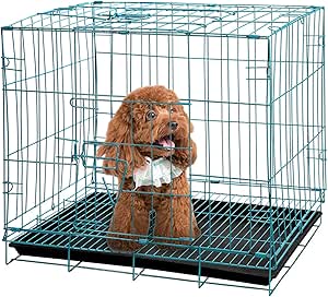 Metal Cage (S)