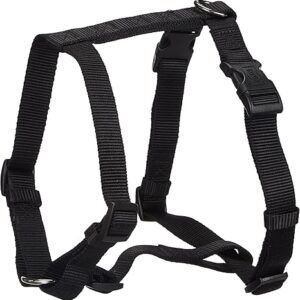 Classic Dog H-Harness & Leash (L)