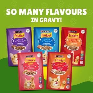 Friskies Wet Cat Food, 85g (1 Pouch)