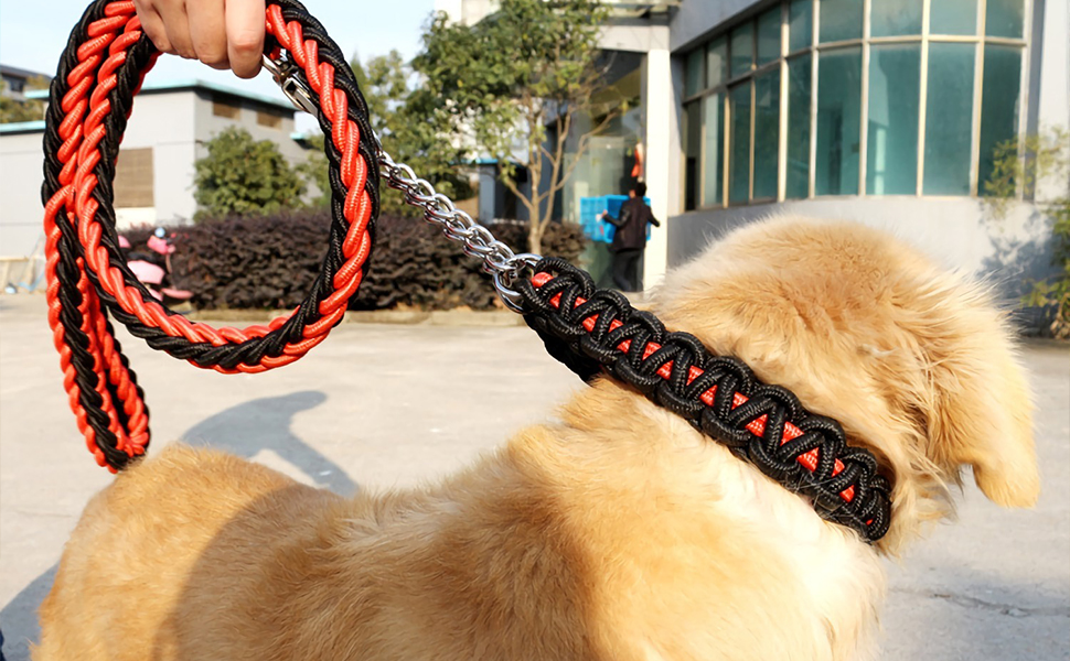 Twisted Dog Leash and Collar Set - Image 4