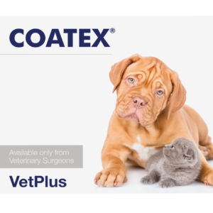 coatex capsules