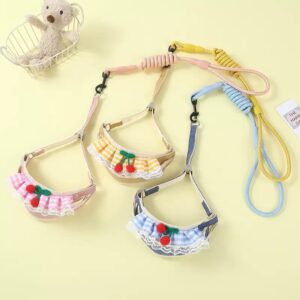 Cherry Dog Harness With Leash