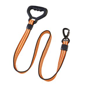 Dog Leash with Padded Handle