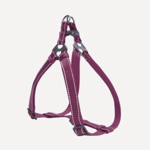 Classic Dog H-Harness & Leash (M)