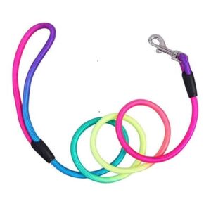 Rainbow Dog Leash