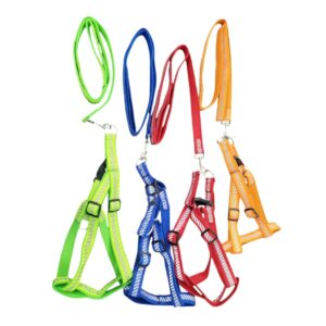 Reflective Harness Leash Set