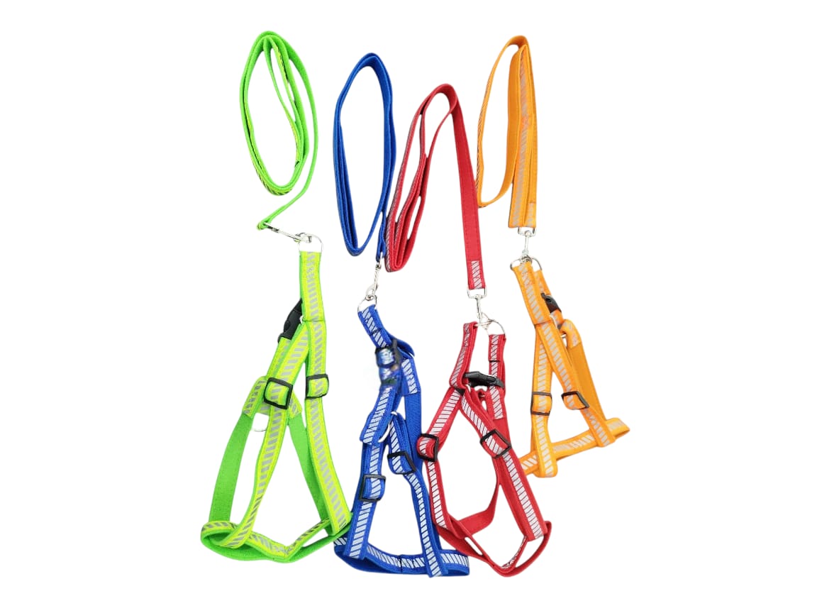 Reflective Harness Leash Set