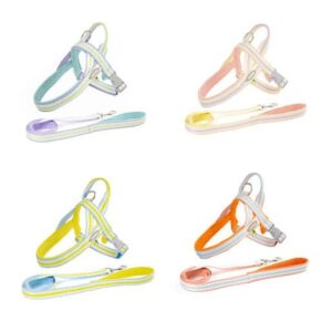 Leash with Handle and Silicone Collar