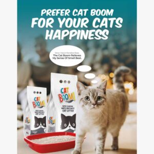 Cat Boom Cat Litter (10L)
