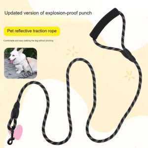 Leash with Foam Handle (L)