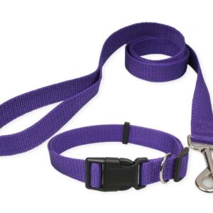 Dog Collar and Leash Set