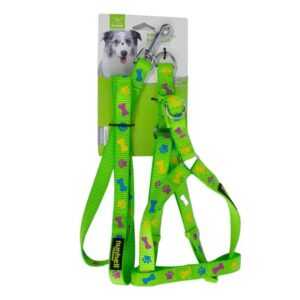 Neon Harness Set